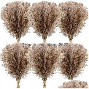 Couronnes de fleurs décoratives 23,6 pouces Bouquet d'herbe de Pampas Fleur séchée en gros Utilisation de mariage Décor de Noël Décor d'automne artificiel Dhszk