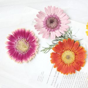 Guirnaldas de flores decorativas Gerbera DIY imágenes de flores prensadas secas especímenes naturales para decoración de pintura 10 Uds 230227