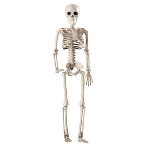 Objetos decorativos Figuras 36 cm Huesos humanos realistas Halloween Cráneo Esqueleto Decoración Modelo anatómico 230901