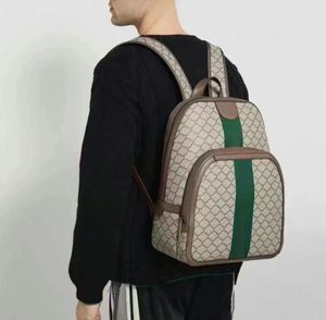 Sac à dos conçu par un designer pour ordinateur portable Sac à dos de voyage étanche de grande capacité pour hommes et femmes.