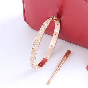 Rose Gold Stainless Steel Bracelet with Diamonds - Fashion Evening & Wedding Jewelry, Screwdriver Closure