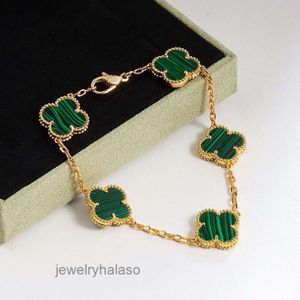 Designer Van Clover Bracelet Bracelet Cinquefoil Bracelet Ladies Classic Versatile Fashion Jewellery Gift with Box