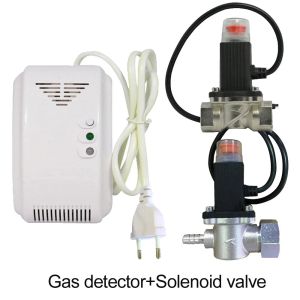 Detector 220VAC Cocina CH4 Detector de fugas de gas natural Válvula solenoide magnética para cortar el gas de carbón Sensor de alarma contra incendios para la seguridad del hogar