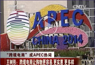 Diane Wang  in APEC