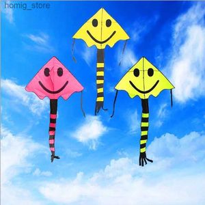 Livraison gratuite Dinosaure Kite Flying Enfants Panda Kite Toys Kites Kites Chilien Kites Line For Kites Parrot Kite Kite Outdoor Toys Y240416