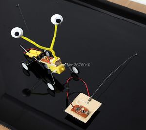 Bricolage télécommande Robot bois Reptile Science expérience électrique Invention modèle Kit éducatif Construction jouets Playset8851846