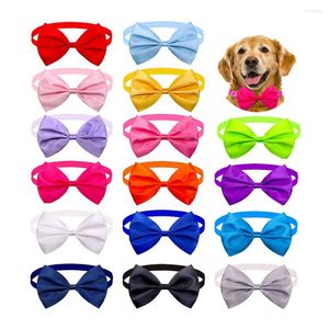 Appareils pour chiens 10 / 20pcs Small Bowtie Bowtie Pet Bow Ties Collar pour chiens Cats Summer Bows Cat Grooming Accessoires