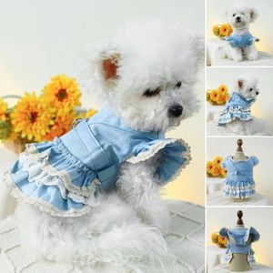 Ropa para perros 1pc Pet Cake Falda Vestido cómodo Elegante Denim con mangas Anillo de tracción Princesa suave para perros Gatos