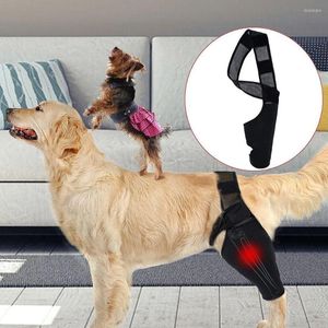 Vêtements pour chiens 1pc genouillères pour animaux de compagnie soutien blessure récupérer jambes bandage arthrite protecteur jambe accessoires flexibles