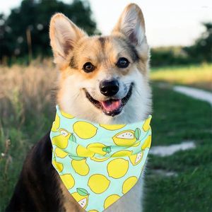 Vêtements pour chiens 2 pièces serviette triangulaire pour animaux de compagnie décorations de salle de bain anniversaire bandana triangulaire fruits