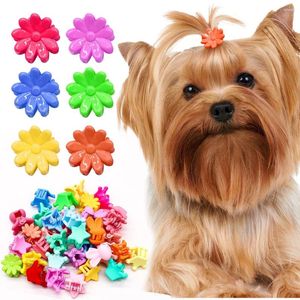 Appareils pour chiens 50pcs Accessoires de cheveux Clips pour petits chiens colorés colorés mignons Crown Girls Girls Pet Grooming Supplies
