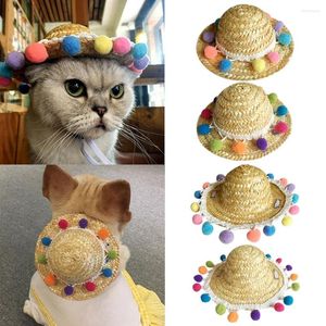 Abbigliamento per cani Behogar Cappello da sole intrecciato in paglia per animali domestici carino divertente con palla colorata per forniture per feste di compleanno per cuccioli di gattini piccoli gatti