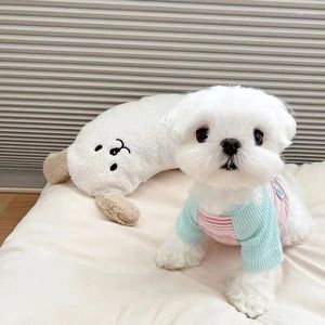 Habillement de vêtements pour chien Couleur à sweat à sweat kawaii lettre conception de raglan manche t-shirt petit vêtements chat hiver
