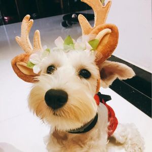 Diadillo de asta de Navidad para perros para perros pequeños accesorios para mascotas con tarjeta de cabello adornos de gato lujo 2024