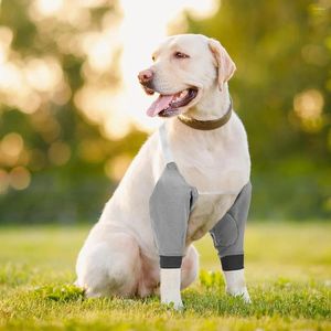 Ensemble de protège-coudes et de genouillères pour chiens - Bretelles de jambe avant réglables pour chiens de petite, moyenne et grande taille, manchon de récupération avec P doux