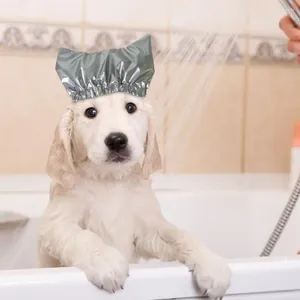 Bande de fixation pour vêtements de chien, chapeau pour animaux de compagnie, douche étanche réglable pour toilettage de chat, bain, capuche d'eau Anti-oreille avec