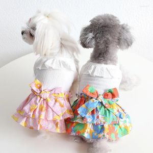Vêtements pour chiens Robe florale pour fille Vêtements d'été Petits chiens de compagnie Jupe longue Vêtements en gros Costume maltais Vêtement Drop