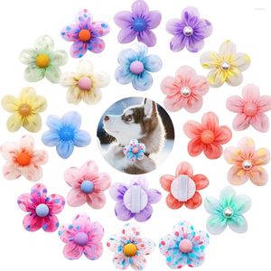 Appareils pour chiens fleur Pet Cat Collar accessorois avec perle point solide coloré coloré en vrac calivable Charms pour les petites fournitures