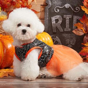 Vestimenta de la ropa de perro halloween lindo disfraz de estampado elegante para la fiesta de Navidad Tema diario ropa