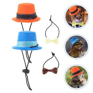 Chapeaux de vêtements pour chiens Hamster Bow Tie Chinchilla Caps et kit Halloween Pet Cravates décoratives de hérisson