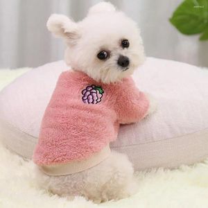 Ropa para perros Ropa para mascotas Patrón de bordado de frutas de dibujos animados Mantenga el calor Buena elasticidad Perros Suéter para el invierno