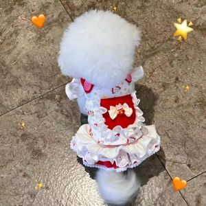 Vêtements pour chiens vêtements pour animaux de compagnie pour les petits chiens robes mignonnes chihuahua yorkies chiots vêtements en dentelle rouge