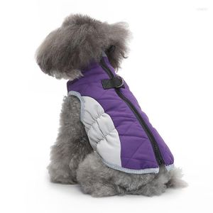 Vêtements pour chiens vêtements en coton pour animaux de compagnie 2023 hiver Patchwork veste à glissière chaud épaissi Polyester tissu remorquage DZ259