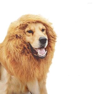 Vestimenta de vestimenta de ropa de perro Lion Mane Collar Collar para Halloween /Party /Festivals (Brown) Big