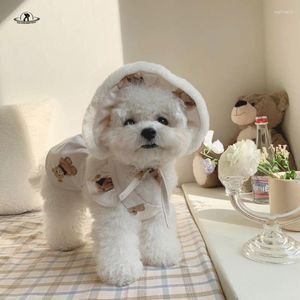 Padena de perros Sombrero de mascota Winter Corea Vender lindo tocado a prueba de viento.