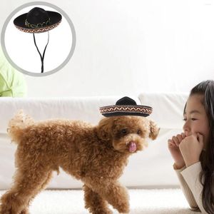 Vêtements pour chiens Chapeau pour animaux de compagnie Mini chapeaux pour artisanat fête mexicaine poupées remplaçables casquette fournitures miniatures