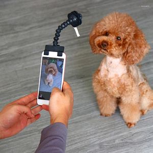 Ropa para perros Selfie Stick Stick Flexible Po Po Interactive Toy Accessories Holder for Bath Captivate