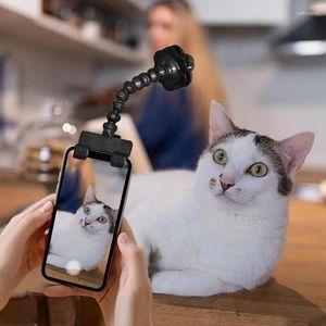 Ropa para perros mascota selfie stick para perros herramientas de pografía gato interacción concentrado de concentrado suministros accesorios electrodomésticos