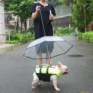 Pluie de vêtements pour chiens Réparbée de taille moyenne petite jarre aéro-taureau pug en peluche peddy chiot parapluie imperméable artefact de marche
