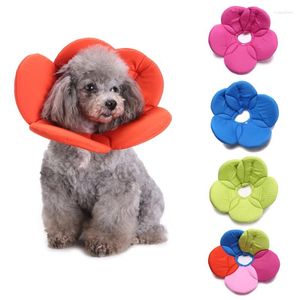 Recuperación de perros Recuperación de mascota Cono E-colar para gatos Dogs Flower Elizabeth Soft Dacron Sponge Splilling Collar Pack