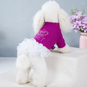 Vêtements pour chiens Vente d'automne et d'hiver Vêtements pour animaux de compagnie Couronne Forage Jupe à bulles imprimée pour petites robes de princesse
