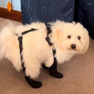 Appareils pour chiens Snow Boties Sock Boot Rain