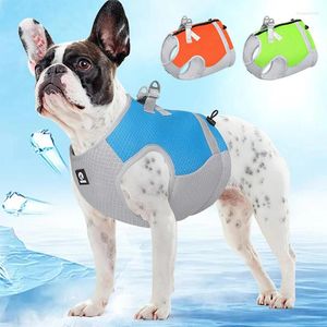 Vêtements de chien Harnais de gilet de refroidissement d'été pour petits chiens de taille moyenne réglable réfléchissant libération rapide veste cool pour animaux de compagnie