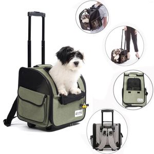 Fundas de asiento de coche para perros, carrito para gatos y mascotas al aire libre, equipaje rodante, mochila, cochecito, Animal, viaje, casa, maleta, portador de ruedas