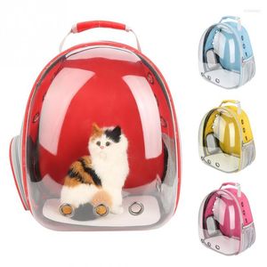 Fundas de asiento de coche para perros, bolsa portátil para gatos, transportador de mascotas, mochila de viaje transparente transpirable para loros y pájaros, jaulas de transporte para gatitos