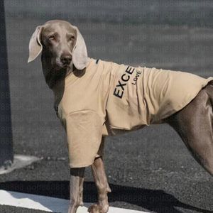 Vêtements de chien blanc brun blanc marron trois couleurs designer vêtements de chien fournit des vêtements pour chiens vêtements pour chiens laisse un message pour plus de détails et de photos