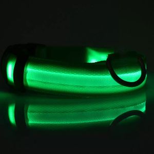 Collier de chien laisses lumière nuit sécurité LED clignotant lueur fournitures pour animaux de compagnie chat chien accessoires petit