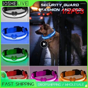 Colliers de chien 1/2 pièces collier en nylon pour animaux de compagnie rechargeable par USB LED de sécurité sangle lumineuse cou ceinture clignotante pour petit grand