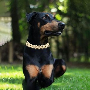 Collares para perros de 2MM con diamantes, aleación antioxidante, cadenas duraderas para perros, Collar, accesorios para mascotas, Collar para gatos