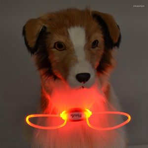 Collares de perros collar de LED ajustable anti-perdida Evite el collar de accidentes de accidente Seguridad luminosa GLOW Small Small Bright Pet Products