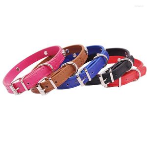 Collares para perros, collar de cinco colores, botón de Metal enviado con hueso, correa firme para perros para Material de PU, accesorios para mascotas pequeñas, 1 Uds.