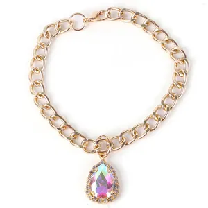 Colliers de chien collier bijoux collier en métal détachable réglable pour les accessoires de magasins