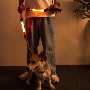 Colliers pour chiens Bande lumineuse en silicone colorée Collier multifonctionnel pour animaux de compagnie Led Nuit Sécurité Clignotant Feux d'avertissement Goutte en gros