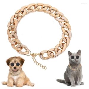 Colliers de chien chaîne en or pour collier de petit et moyen collier