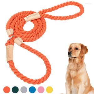 Colliers pour chiens Laisse Slip Rope Lead Strong Heavy Duty tressé No Pull Training Laisses Medium Large Dogs