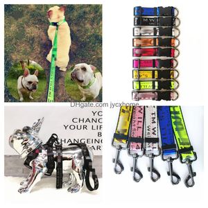 Collares de perros Correo de correas en el diseño de arnés y correas de diseño de diseñadores Cinturón de seguridad de correa de collar clásico